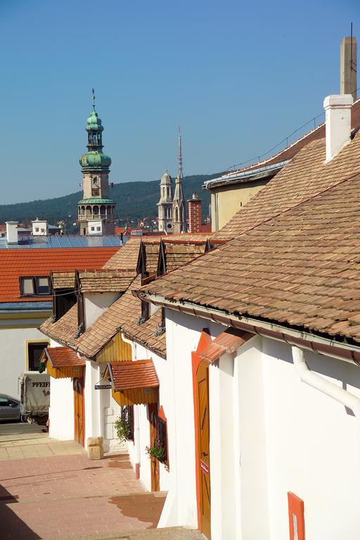 Vinosseum Bor- Es Apartmanhaz Sopron Bagian luar foto